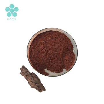 Natural Antioxidant Maritime Pine Extract OPC Powder