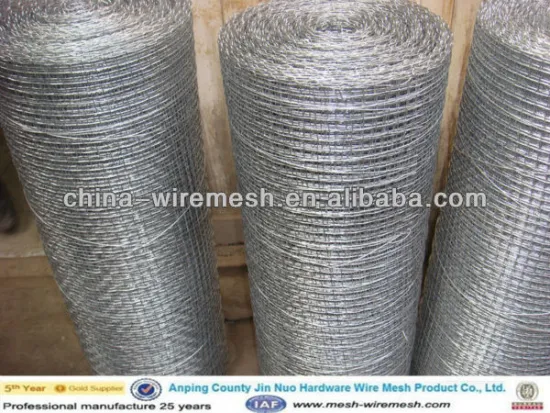 Factory of Galvanized Square wire mesh/wire mesh netting/window square mesh