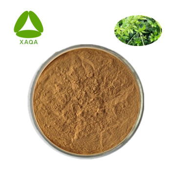 Antioxidant Wijnstok Thee Extract Powder 10: 1