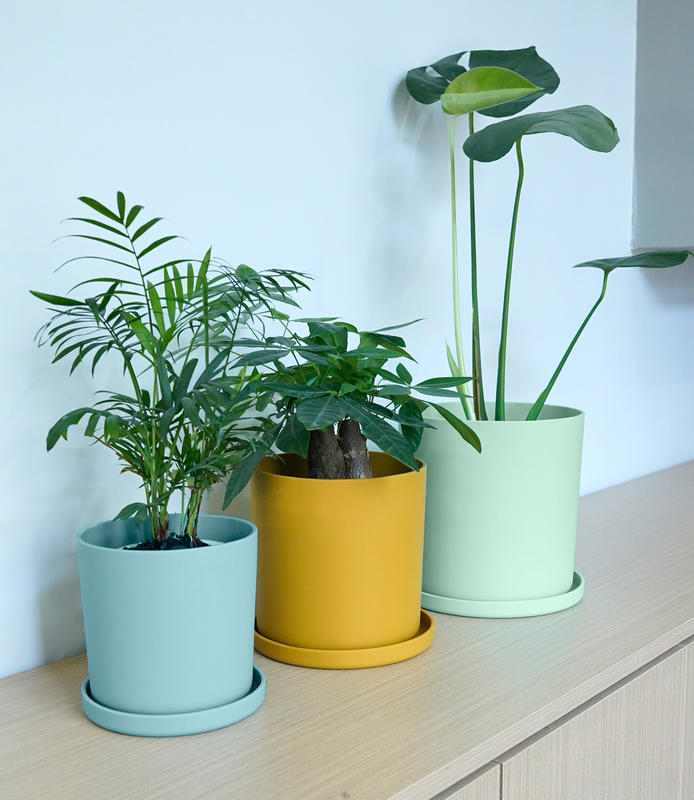 silicone snack cups MFZ-C021