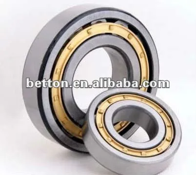 2013 China hot!! Cylindrical Roller Bearing N224