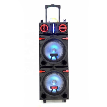 Dual 10 Inch Pro Woofer Box with Disco Lights for Home Theatre Systems