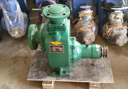 Marine bilge sea water pump