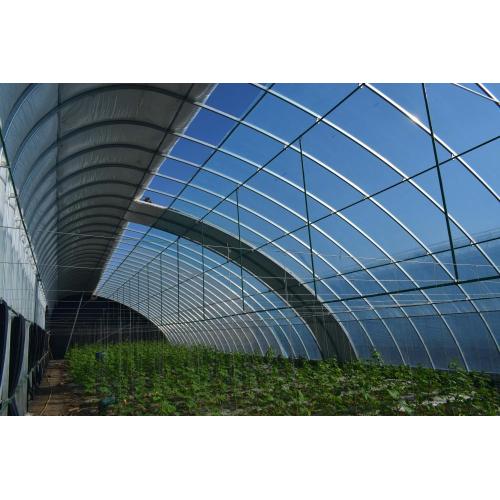 Solar Optic Greenhouse Industry Green House Factory