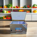 China Hot Selling Single Door Chest/Deep Freezer