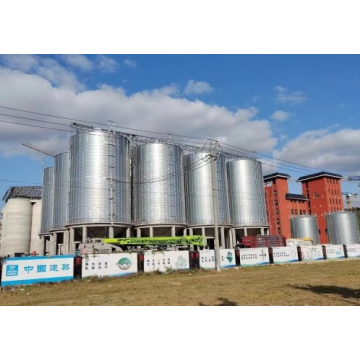 Großes Stahlsilo für Reiskorn