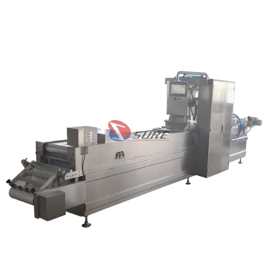 Automatic Thermoforming Vacuum Packing Machine for Food