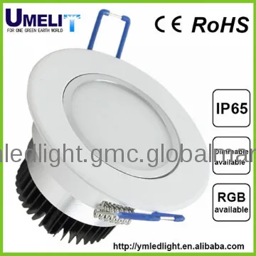 ceiling light camera