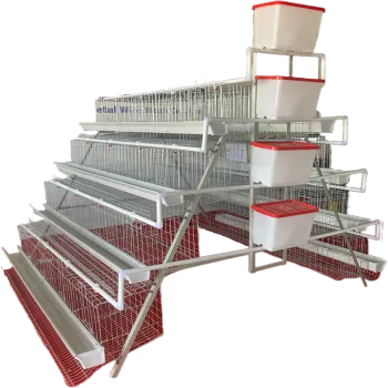 1000 Chicken Layer Cage Dimensions for 160 Birds in Poultry Farming