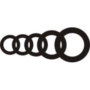Automive Rubber Ring Gasket for Car Radiator