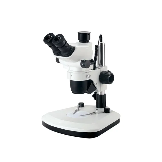 Three Eyed Stereomicroscope for Metallurgical Observation" 

However, considering typical SEO practices and keyword placement, a more optimized title could be:

"Stereo Microscope with Three Eyebars for Metallurgical Observation" 

But if we are strictly 