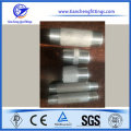 SS Threaded DIN2441 Steel Pipe Nipple