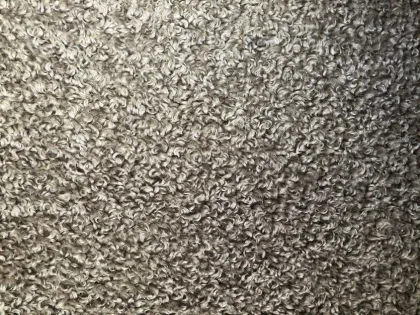 100%Polyester Wool Fleece Knitted Fabric (Lamb roll)