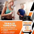 Lower Blood Pressure Premium Tribulus Terrestris Capsules