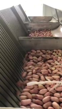 Peanut Groundnut Color Selector Colour Sorter Sorting Machine
