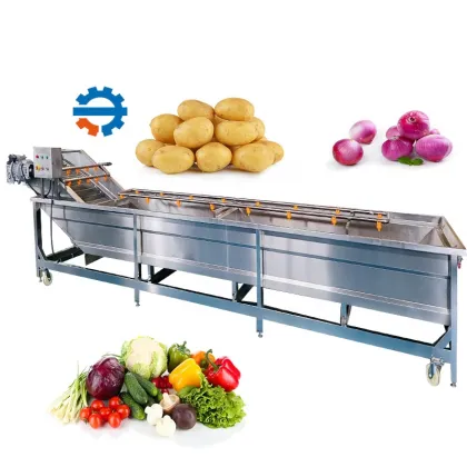 Customizable DY Bubble Ozone Vegetable Washing Machine