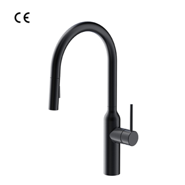 12 Series Pull-out Kitchen Mixer in Matt Black