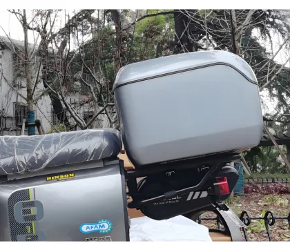 Universal Electric Vehicle Trunk Battery Storage Box - Emma Dailing Original Toolbox