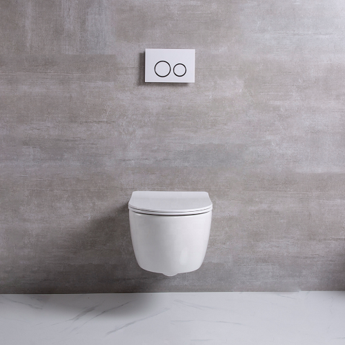 Wall Hanging Toilet With Bidet Enema Nozzle