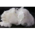 /msite/products/detail/productid/57694304/id/678304.html