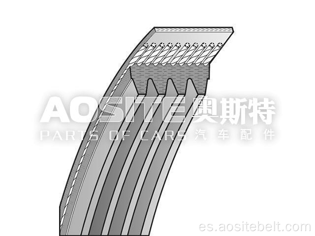 Cinturón v-ribed para hombre tga