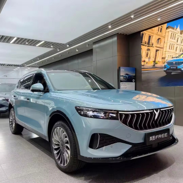 Perjanjian adil: Dongfeng Voyah Long Range EV SUV dengan harga yang berpatutan