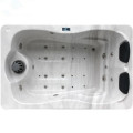 Piante per la privacy attorno alla vasca idromassaggio per esterni Luxage Hottub Spa con pannello di controllo