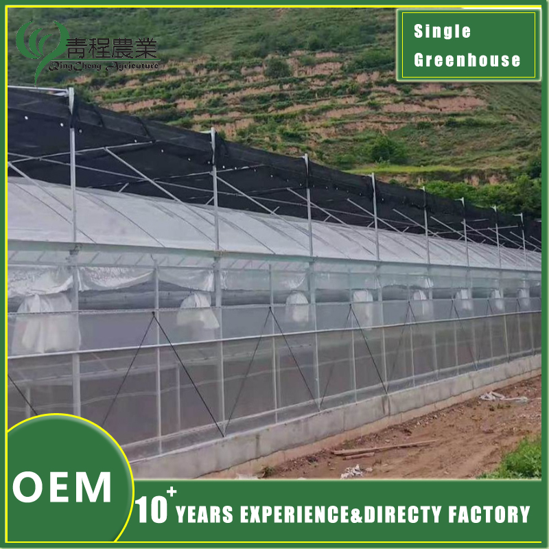 Greenhouse With Ex-Shading System