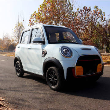 Top -Angebote: Neue Design -Elektroautos, einschließlich SUVs und Minis, zu Fabrikpreisen