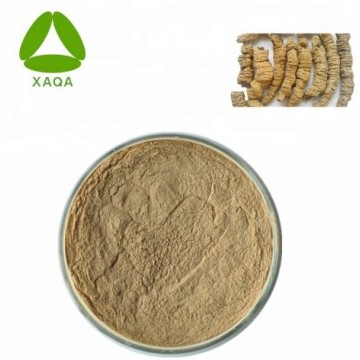 ذكر مسحوق استخراج Morinda Officinalis الجنسي 10: 1