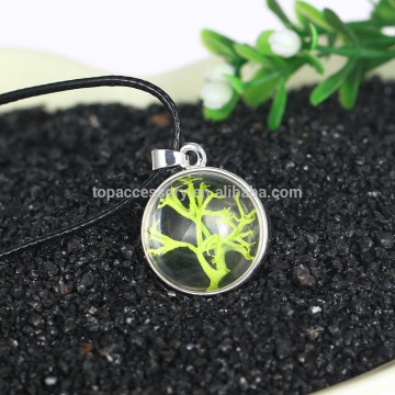 TNC61128-33 Hot Fashion Crystal glass Ball Green Star Begonia Long Strip Leather Chain Dried flower Pendant Necklace