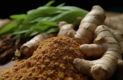 Ginger Extract Ginger Powder