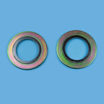 spiral wound gasket with outer ring Selling Well