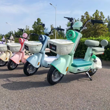 350W 48V/60V Electric Scooter & Bike for Adults and Students