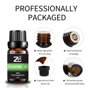 Corander Oil Essential Oil Private Rótulo personalizado Melhorar a memória