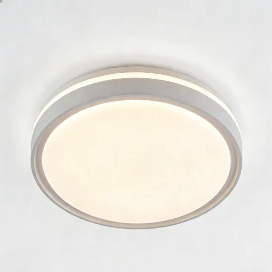 Minimalist indoor LED ceiling lamp