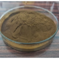 Wholesale Organic Wild Lettuce Powder Extract