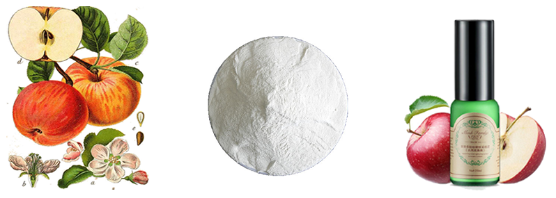 Extracto de manzana 01 apple extract 01