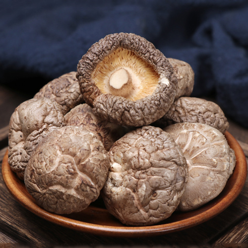 Alto de alta calidad Alimentos secos SHIITAKE SHOLSALE