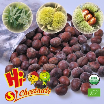 Frozen Roasted Chestnuts in Shell for sale