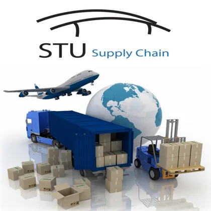 Latin America Sea Shipping: FCL & LCL Shipment Services