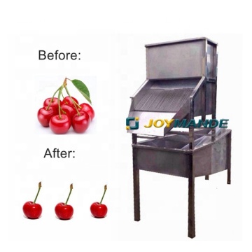 High Efficiency Cherry Stalk Dividing and Removal Machine
