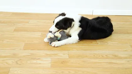 Plush Pet Toy Rhino Squeaky