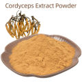 Factory supply high quality top mushroom 100% pure organic Cordyceps sinensis mycelium extract powder