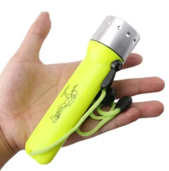 Best 1000 Lumen Scuba Dive Light: A Bright Underwater Flashlight for Deep Sea Explorations