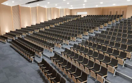 Auditorium Seating and Public Assembly Chairs with Desks
