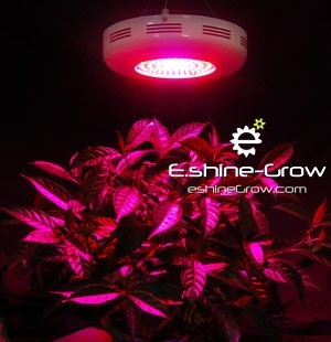 UFO Grow Light 90W