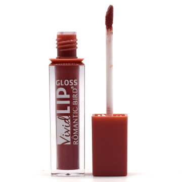 Wholesale OEM lip gloss makeup moisturizing lip gloss