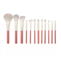 2022 Nuovo arrivo 12pcs Plasty Plastic Plastic Kit Brush Kit OEM &amp; ODM