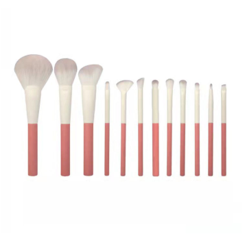 I-2022 New Arrival 12pcs Pink Plastice Plastic Brush Kit OEM &amp; ODM